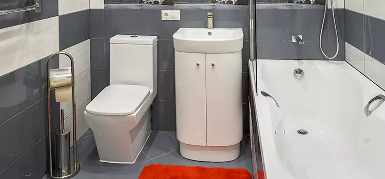 Hansgrohe Shaving Mirror Bozeman